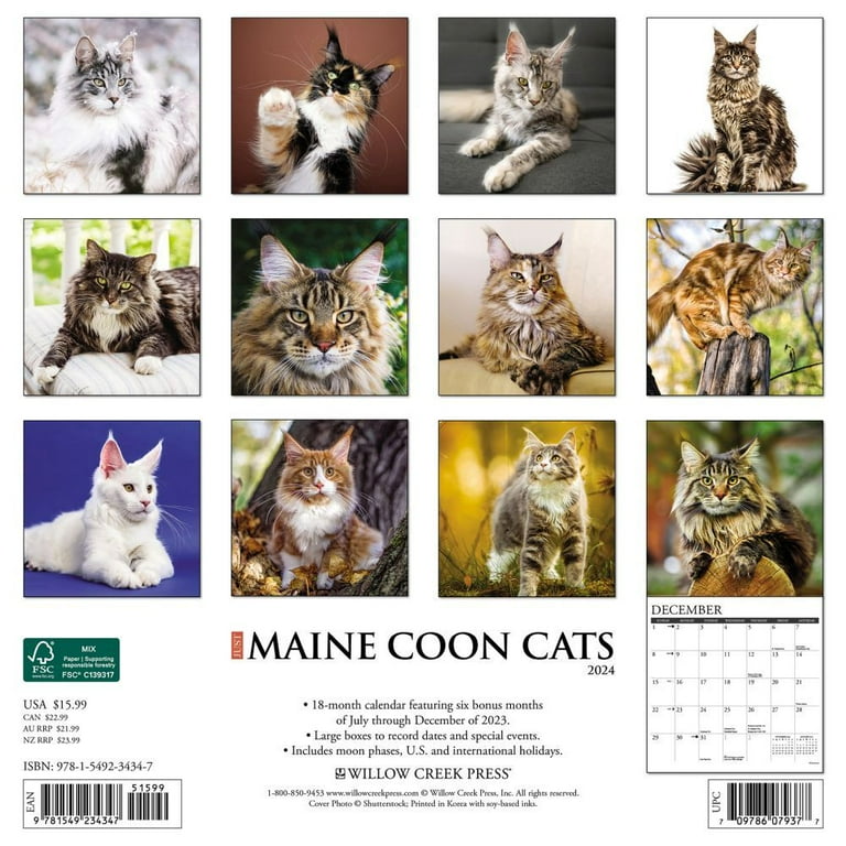 Events In Maine July 2025 Calendar Ros Leoine