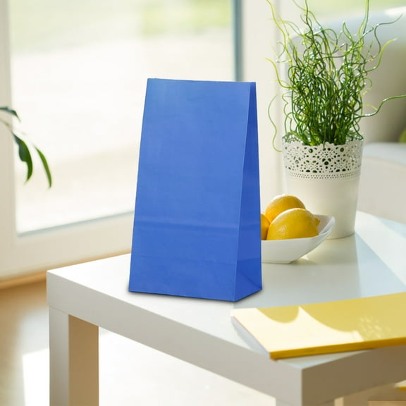 Party Favor Bags, 5 Pack Kraft Paper Goodie Gift Lunch Treat Bags, Candy Snack Packaging Bag, Party Supplies for Theme Birthday, July 4th, Christmas, 7.09 Inches