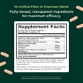 thumbnail image 2 of The Genius Brand Mood + Focus Nootropic – 400mg Organic Lion’s Mane, Alpha GPC & Citicoline – Memory & Focus Supplement – 30 Servings, 2 of 7