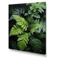 thumbnail image 2 of Designart "Ferns Plant Monochrome Euphony III" Floral & Botanical Canvas Wall Art, 2 of 5