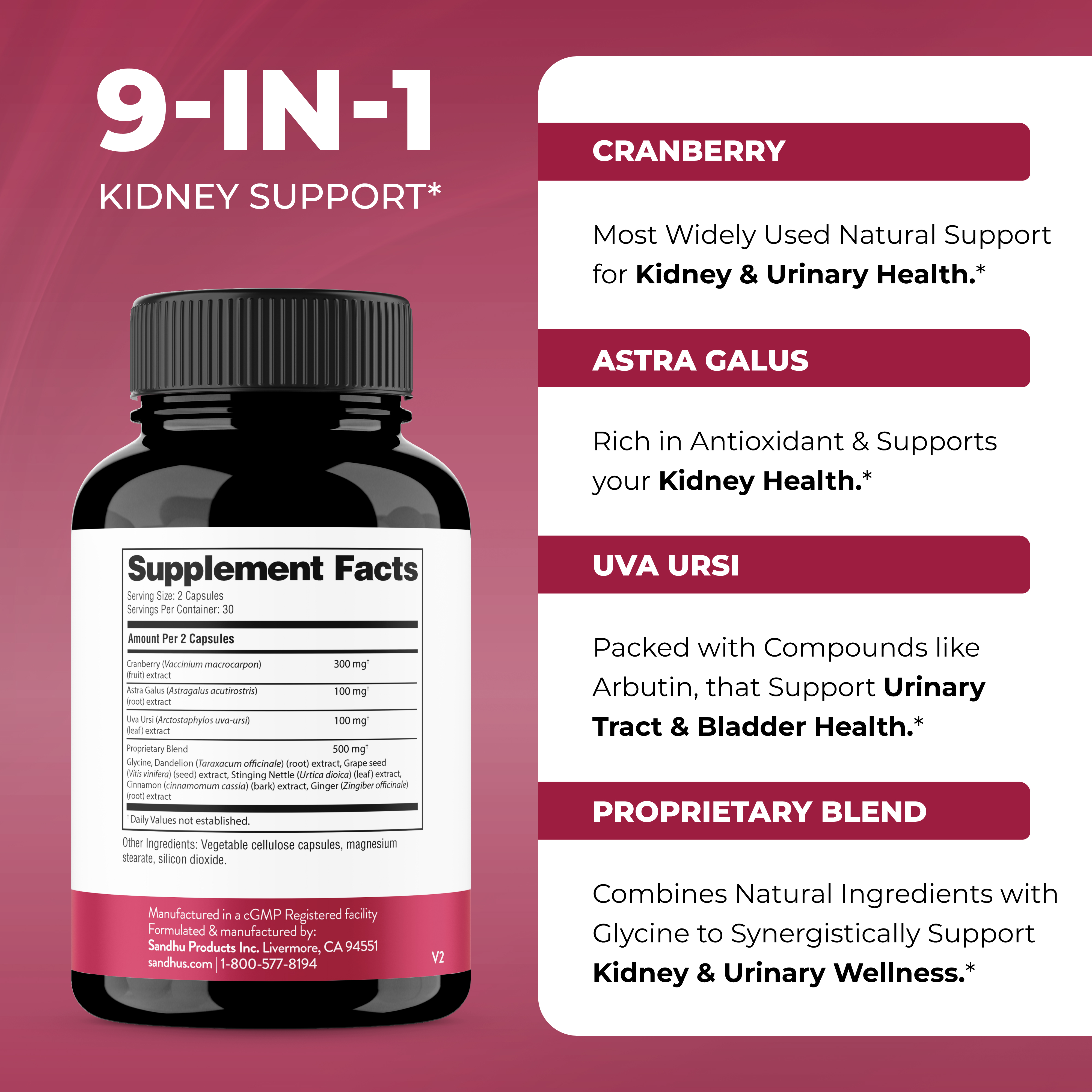 Sandhu's Kidney Cleanse Detox Support Supplement | with Cranberry Extract Helps Support Kidney & Urinary Tract Health | 60 Vegetarian Capsules
