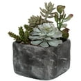 thumbnail image 3 of Uttermost Alverio Contemporary Plastic Iron Cement Succulents in Black/Green, 3 of 5