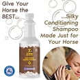 thumbnail image 4 of Zone Protects Silk-Stride Equine Shampoo; Signature Fragrance - Frosted Lavender; Powerful but Gentle Cleaning and Moisturizing, 4 of 5