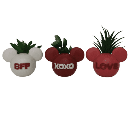 Disney's mickey Mouse 3-Piece Succulent Table Decor