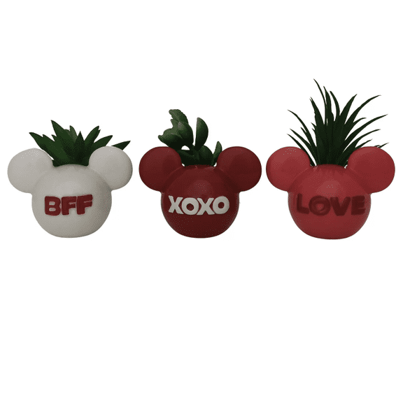 Disney's mickey Mouse 3-Piece Succulent Table Decor