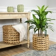 thumbnail image 2 of Northlight Set of 2 Wood-tone Open Fishtail Water Hyacinth Baskets with Built-in Handles15.75", 2 of 6
