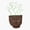 1pcs, variant on Matcha Er, Phone Decal Water Bottle Stickers Car Decals, Funny Birthday Gift