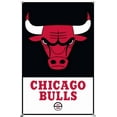 thumbnail image 4 of NBA Chicago Bulls - Logo 21, 4 of 4