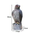 Djadtgl LifeLike Garden Bird Prey Extra Of Lifesize Hanging Realistic
