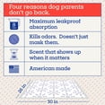 thumbnail image 2 of Pet Life Unlimited 4th of July Smart Print Dog Pads, XL, 25ct, 2 of 8