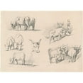 thumbnail image 2 of John Singer Sargent 24x19 Black Ornate Framed Double Matted Museum Art Print Titled: Studies of Cattle (C. 1872), 2 of 5