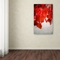 thumbnail image 3 of Trademark Fine Art "Red is On" Canvas Art by Philippe Sainte-Laudy, 3 of 3