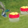 thumbnail image 2 of Comederos de colibríes para exterior, comederos de plástico para colibríes para colgar al aire libre, estación de alimentación múltiple para colibríes de mano, 2 of 5