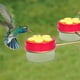 thumbnail image 2 of Humming Birds Feeders for Outside Plastic Hummingbird Feeders for Outdoors Hanging Handheld Multiple Hummingbird Feeder Station, 2 of 5