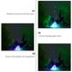thumbnail image 2 of Fish Tank Bubbler Light USB Colorful LED Aquarium Air Bubbler Decoration, 2 of 5