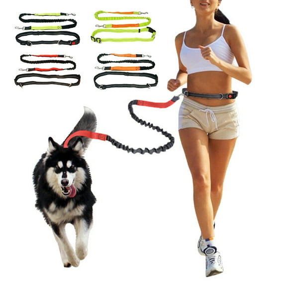 SPRING PARK Pet Reflective Traction Rope Elastic Hands Free Dogs Lead Running Belt Jogging Waist Leash