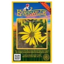 Everwilde Farms - 150 Rosin Weed Native Wildflower Seeds - Gold Vault Jumbo Bulk Seed Packet