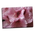 thumbnail image 2 of Gango Home Decor Pink Rhododendron II by Rita Crane (Ready to Hang); One 36x24in Hand-Stretched Canvas, 2 of 4
