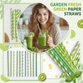 thumbnail image 2 of 100 Pcs Green Paper Straws for Party Decorations, Biodegradable Drinking Straws for Desserts, Pastries, and Bar Beverages, Decorative Event Supplies, 2 of 8