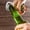 D, variant on Nrmrq Holiday Deals Christmas Tree Pattern Beer Opener Bottle Opener Stainless Steel Beer Multifunctional Refrigerator Magnet
