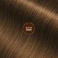 thumbnail image 6 of Everpro Gray Away Adult Instant Root Touch-up, Medium Brown, 2.5 oz, 6 of 12
