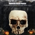 thumbnail image 3 of Skull Plant Container, High Strength Exquisite Clear Shape Skull Head Flower Pot Decorative Resin Portable  For Home, 3 of 8