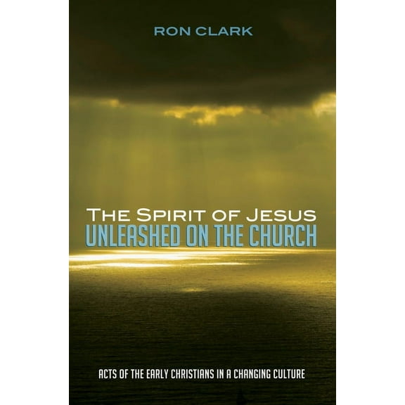 The Spirit of Jesus Unleashed on the Church (Paperback)
