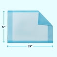 thumbnail image 3 of Medline Disposable Adult Bed Pads for Incontinence, Furniture, or Pets, Medium, Light Absorbency, 17 x 24in, 100 Count, 3 of 8