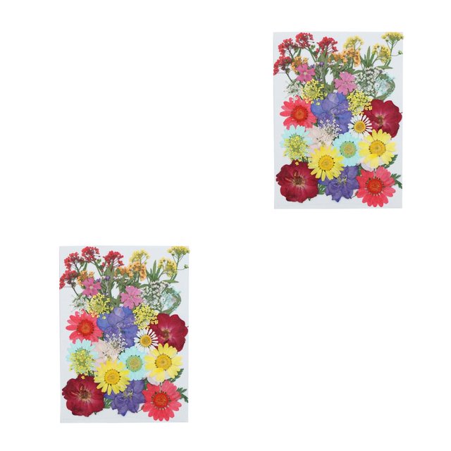 Billuyoard Flores secas naturales Ramos en relieve hechos a mano Flores prensadas Adornos florales Regalos para tarjetas de boda Verano Type2 NO2