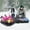Multicolor, variant on Owl Shaped Snow Tube Sled, 47in Inflatable Snow Sled for Adults, Hard Bottom & Handles, Cold-Resistant PVC for Winter Sledding