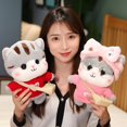 thumbnail image 2 of Juguete de peluche Kawaii de 30cm para niñas, gato vestido con ropa, muñeca creativa, regalo de cumpleaños y San Valentín zhangyuxiang LED, 2 of 2