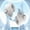 2PC White, variant on Wireless Earbuds with ANC, 36H Playtime & Charging , Hi-Fi Bass Earphones for Sports/Calls, Gift for Valentine's Day