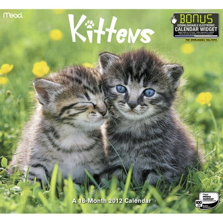 Mead Kittens Wall Calendar
