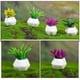 thumbnail image 4 of 8pcs Bonsai Bonsai Greedery Adveringy Dollhouse Decoración Bonsai Modelo de planta pequeña, 4 of 6