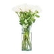 thumbnail image 4 of Ramo floral con 12 tallos, 4 of 4