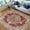 Distressed Copper, variant on HR-Traditional Rugs/Luxury Livingroom/Fashion Home Oriental|Persian Vintage Area Rugs-Copper/Multi (7'9" x10')
