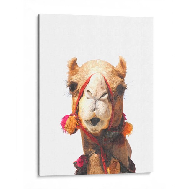 Cuadro decorativo - Camello, Alemi 60x80 Canvas Lab Animales, Naturaleza, Animales y naturaleza,