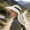 Beige, variant on Outdoor Wide Brim Sun Hat,Windproof Fisherman Hat, Breathable Foldable Leisure Sunscreen Hat,Double Layer Face Shield,for Summer Travel Beach Cycling Hiking