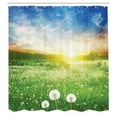 thumbnail image 3 of Ambesonne Spring Shower Curtain, Dandelion Flower Field, 69"Wx70"L, Lime Green Blue, 3 of 5