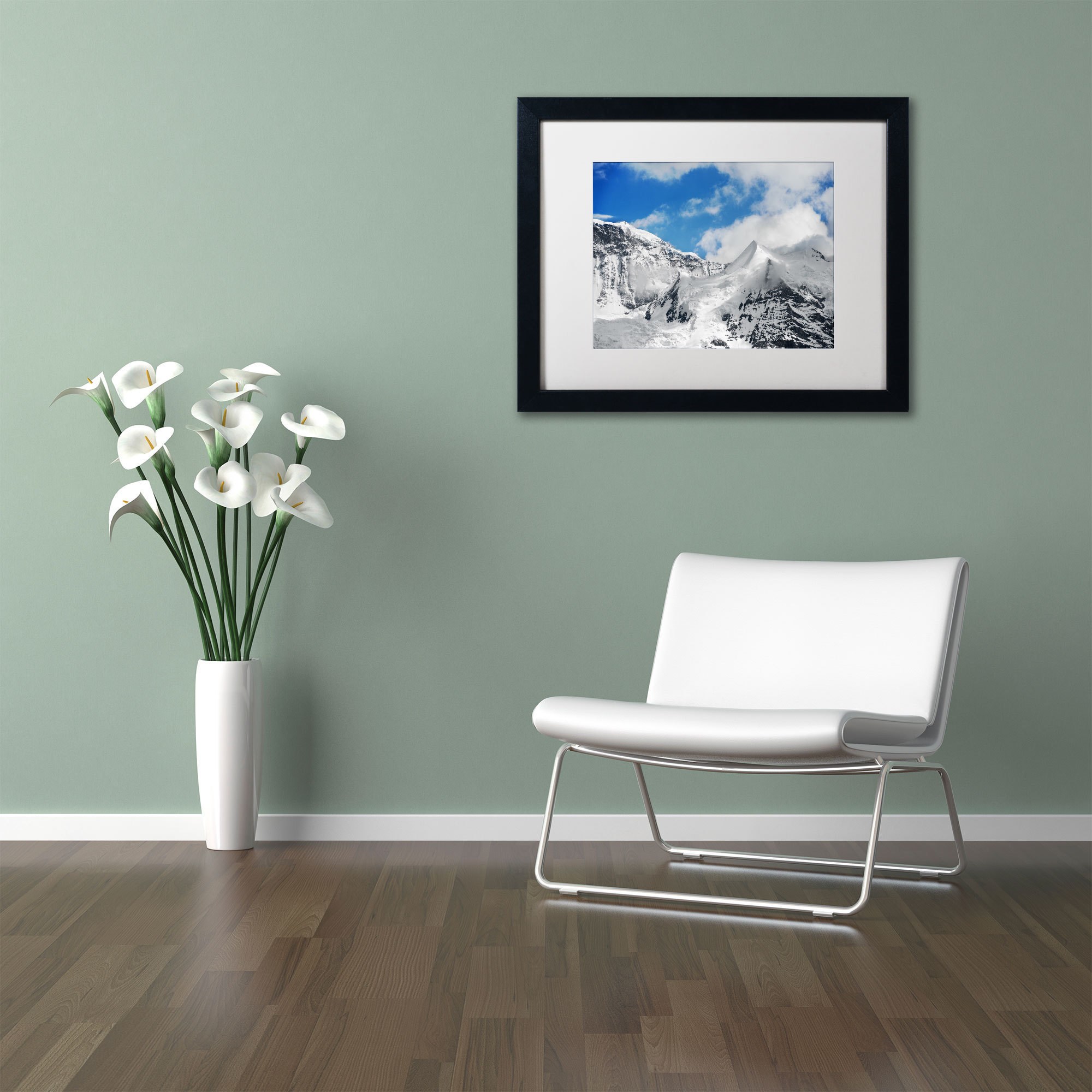 Trademark Fine Art "Ethereal" Canvas Art by Philippe Sainte-Laudy, White Matte, Black Frame
