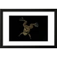 thumbnail image 2 of Xenopus Fraseri Frasers Clawed Frog Framed Print Wall Art by Paul Starosta Sold by Art.Com, 2 of 5