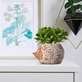 thumbnail image 3 of koolsoo Petit Pot de Fleurs Moderne en Résine pour Balcon Jardin Bureau Hérisson, 3 of 9