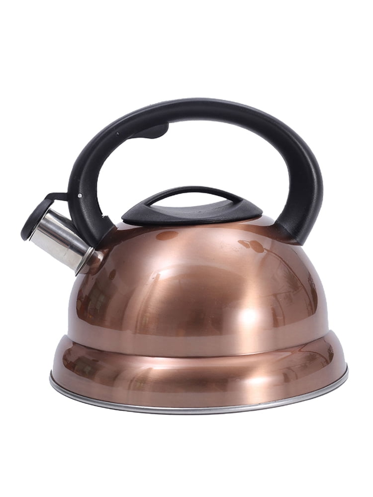 Details about   3L Stainless Steel Whistling Boil Hot Water Coffee Pot Kettle Camping Fishing 