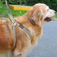 thumbnail image 4 of ZENGO Dog Tie Out Cable, 15m(49ft) Dog Cable Heavy Duty Tie-out Cable For Dogs, 4 of 5