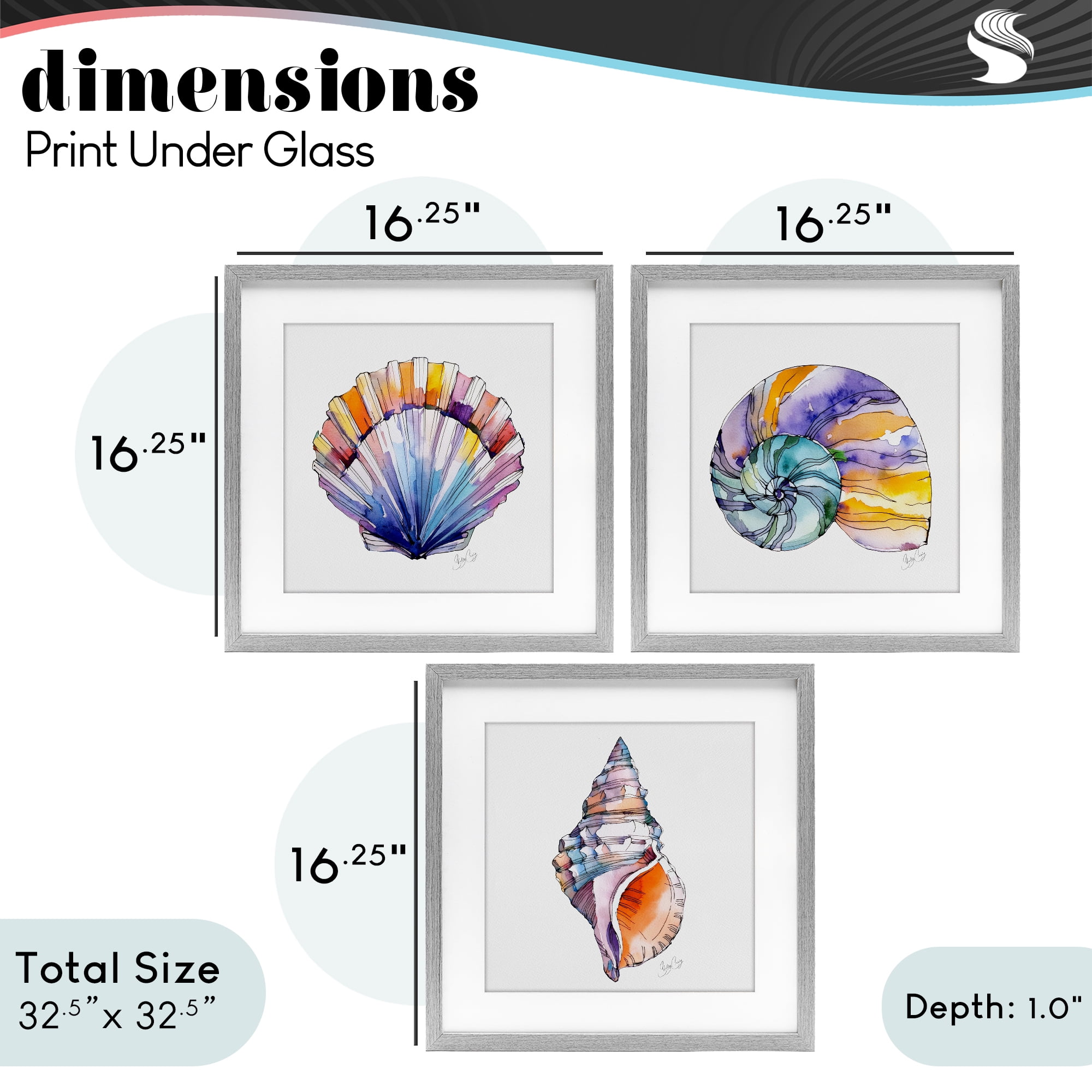 Stupell Industries Sunlit Seashells Watercolors 3 Piece Gray Framed Print Under Glass Set, design by Shelly Craig