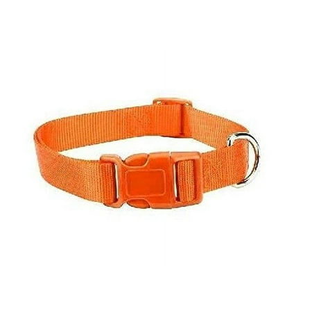 ORANGE DOG COLLAR BULK LOT PACKS 4 Sizes Nylon Litter Band Puppy Rescue Shelter(Large - 18 to 26 Inch 40 Collars)