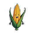 thumbnail image 3 of cartoon Corn Stickers, Waterproof Vegetable Sticker for Water Bottle Laptop Phone Cases Planner Skateboard Luggage Helmet Party Favor Decor, Ideal for Adults Teens Teacher Rewards, 3 of 9