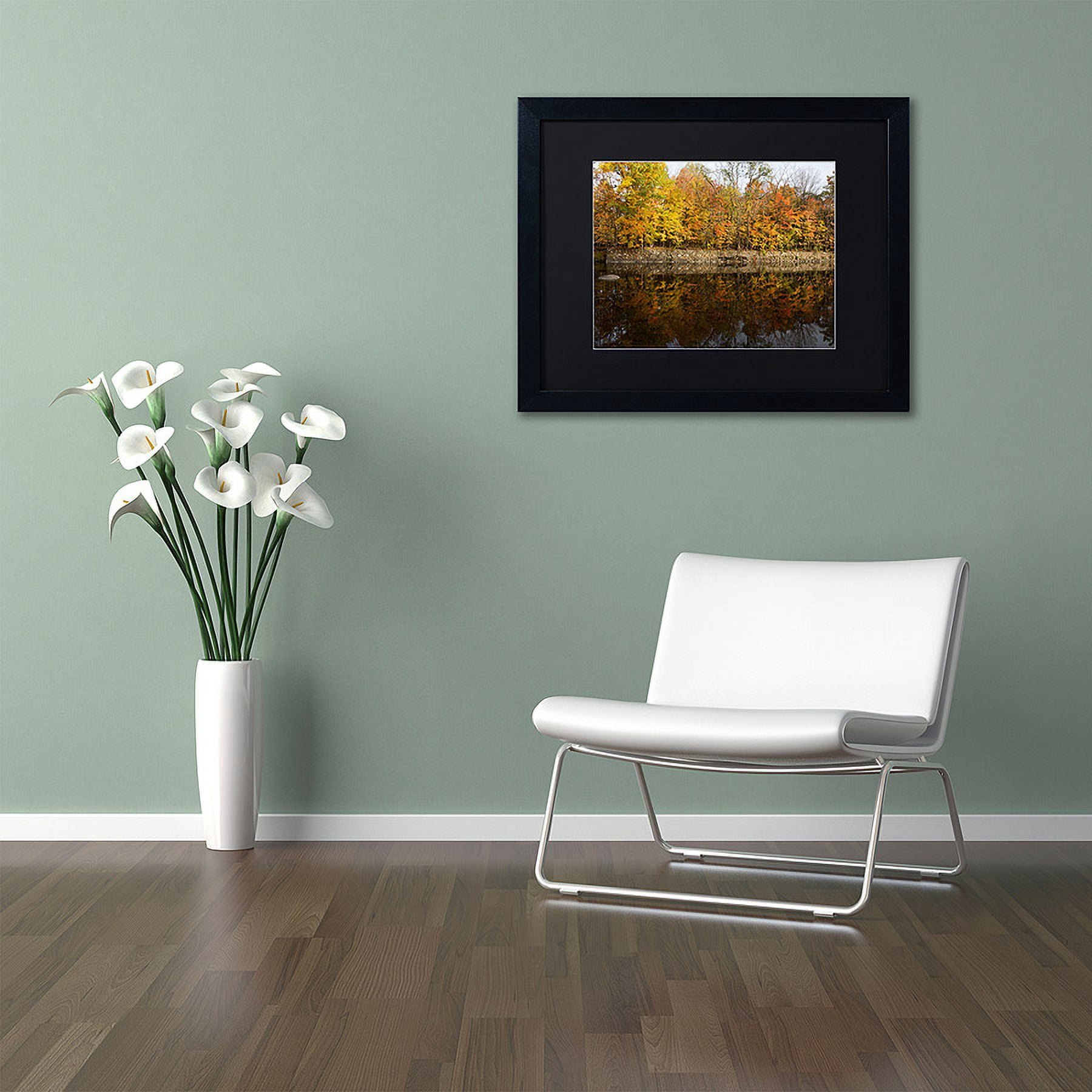 Trademark Fine Art "Autumn Along the Rocky River" Canvas Art by Kurt Shaffer, Black Matte, Black Frame