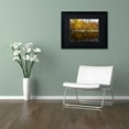 thumbnail image 3 of Trademark Fine Art "Autumn Along the Rocky River" Canvas Art by Kurt Shaffer, Black Matte, Black Frame, 3 of 4