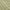 Green Yellow, variant on Nourison Aloha Indoor/Outdoor Coastal Tropical Blue/Grey 5'3" x 7'5" Area Rug, (5' x 7')
